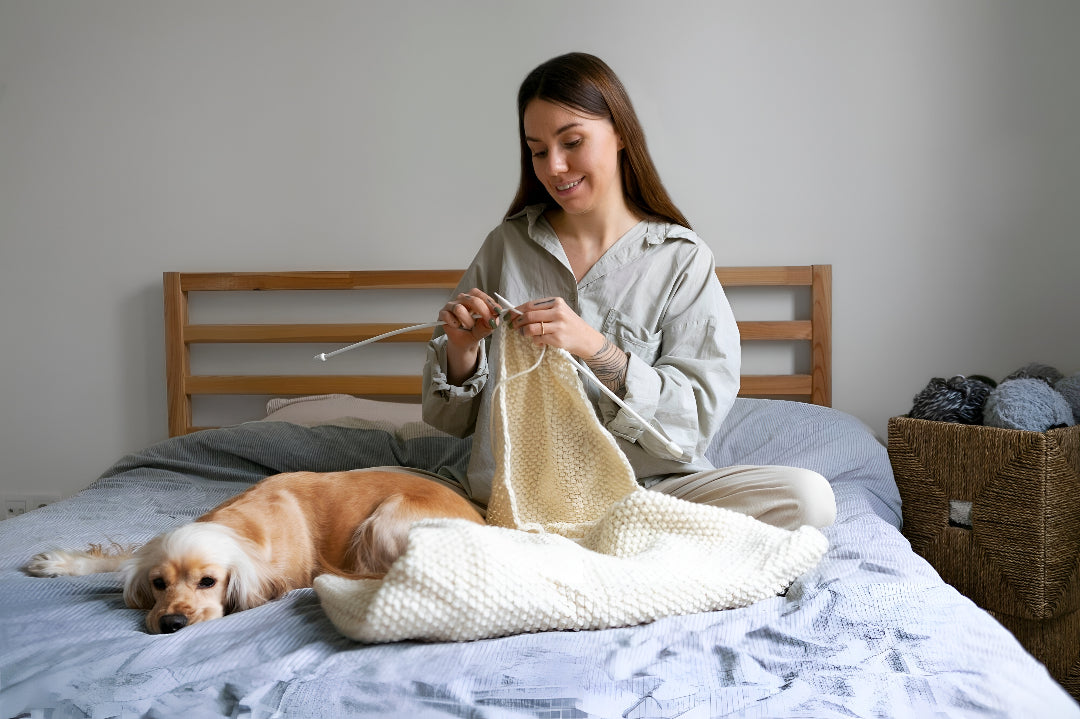 Choosing Comfortable Pet Beds for Better Sleep